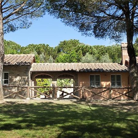 Podere Poggio Mendico Arezzo Ngoại thất bức ảnh