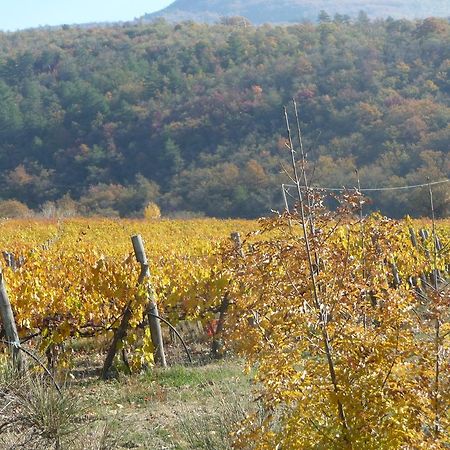 Podere Poggio Mendico Arezzo Ngoại thất bức ảnh