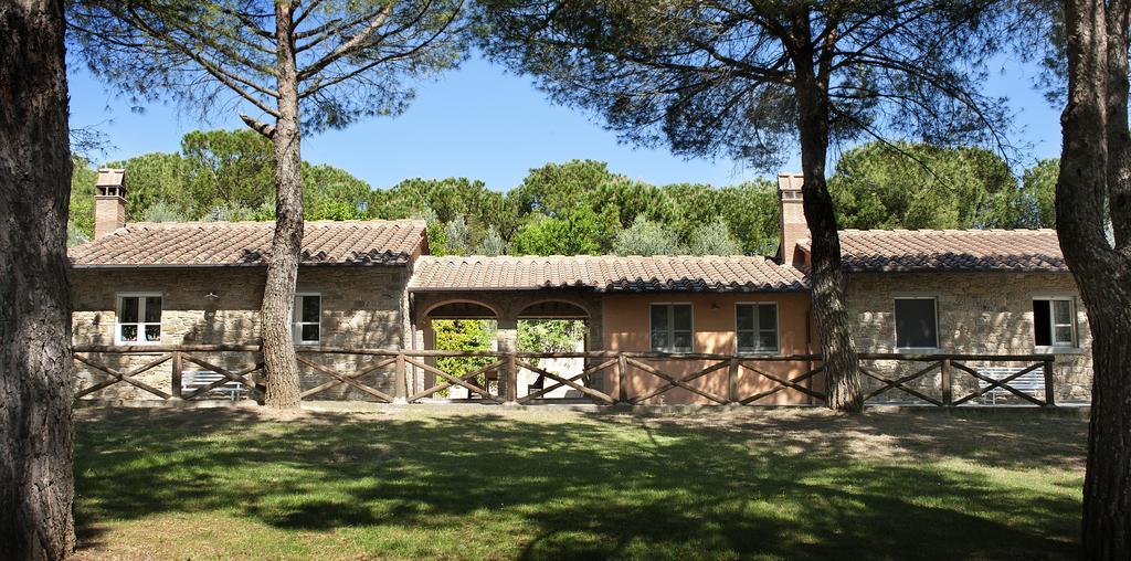 Podere Poggio Mendico Arezzo Ngoại thất bức ảnh
