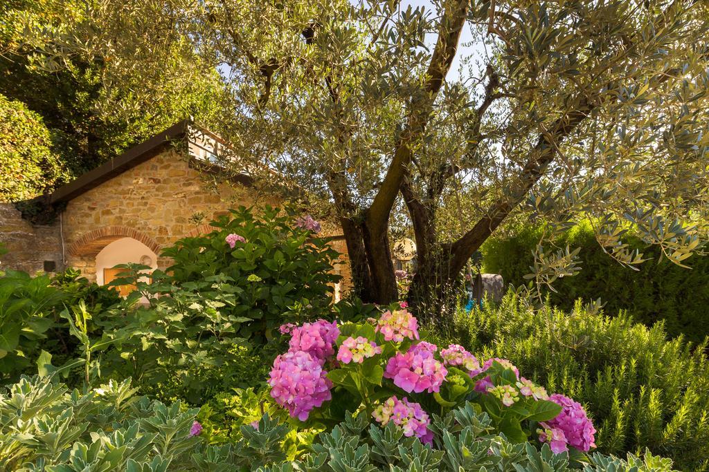 Podere Poggio Mendico Arezzo Ngoại thất bức ảnh