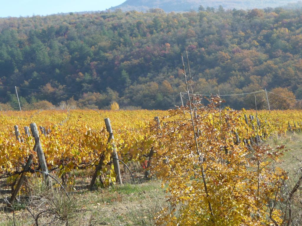 Podere Poggio Mendico Arezzo Ngoại thất bức ảnh